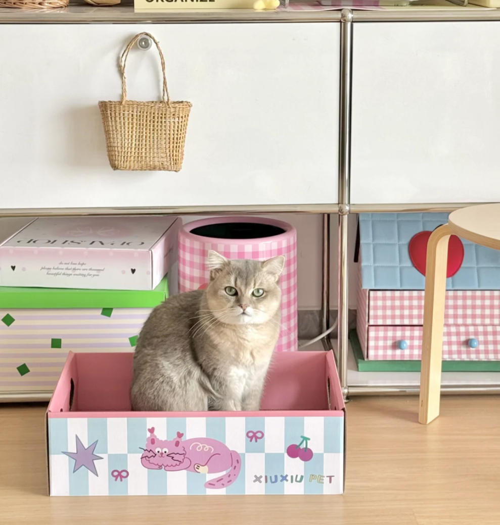 Secret Garden Cat Scratch Box | Mystery Eco-Cardboard Collection with 3 Whimsical Designs